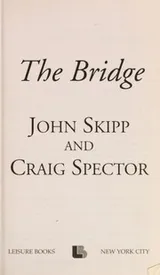 Cover of The bridge
