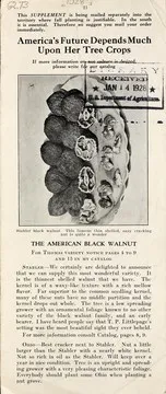 Cover of America's future depends much upon her tree crops