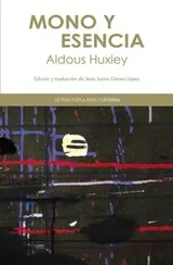 Cover of Mono y esencia