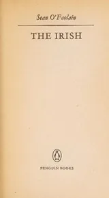 Cover of The Irish