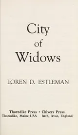 Cover of City of widows