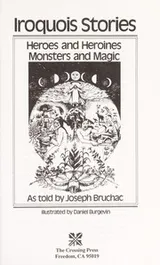 Cover of Iroquois stories