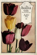 Cover of David J. Scott [catalog]
