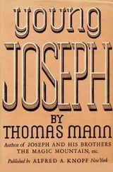 Cover of Young Joseph