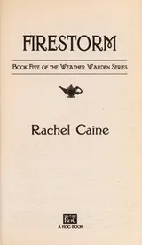 Cover of Firestorm