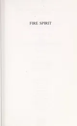 Cover of Fire spirit