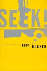 Cover of Seek!