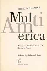Cover of MultiAmerica