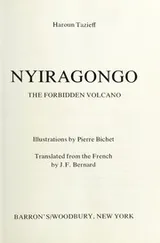 Cover of Nyiragongo, the forbidden volcano
