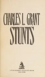 Cover of Stunts