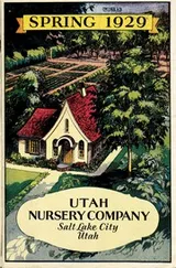 Cover of Spring 1929