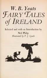 Cover of Fairy tales of Ireland