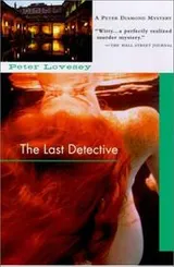 Cover of The last detective