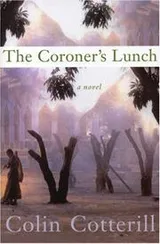 Cover of The Coroner’s Lunch