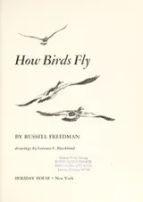 Cover of How birds fly