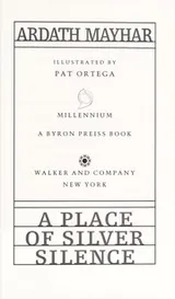 Cover of A place of silver silence