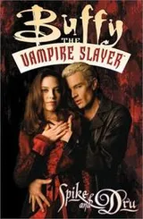 Cover of Spike and Dru