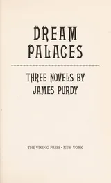 Cover of Dream palaces