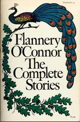 Cover of The Complete Stories