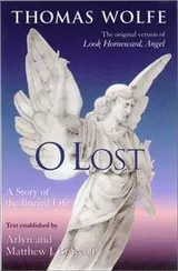 Cover of O lost