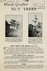 Cover of Hardy grafted nut trees