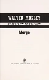 Cover of Merge--Disciple