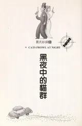 Cover of Cats prowl at night