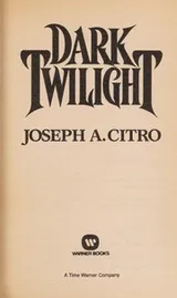 Cover of Dark Twilight