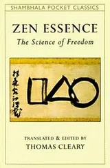 Cover of Zen essence