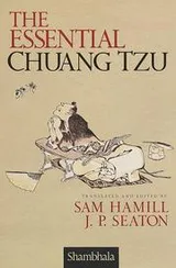 Cover of The essential Chuang Tzu