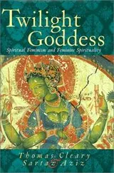 Cover of Twilight goddess