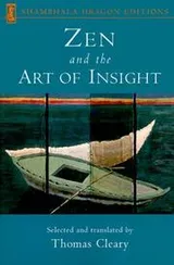 Cover of Zen and the art of insight
