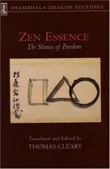 Cover of Zen Essence