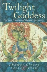 Cover of Twilight goddess