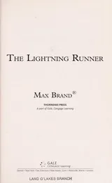 Cover of The lightning runner