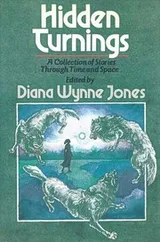 Cover of Hidden Turnings