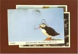 Cover of Eccentric Islands