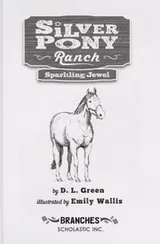 Cover of Sparkling Jewel