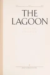 Cover of The lagoon
