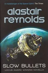 Cover of Slow Bullets