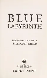 Cover of Blue Labyrinth