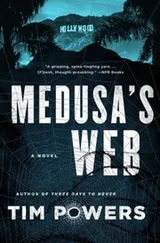 Cover of Medusa's web