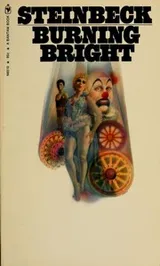 Cover of Burning Bright