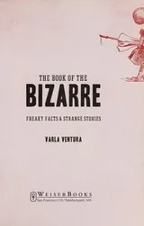 Cover of The book of the bizarre