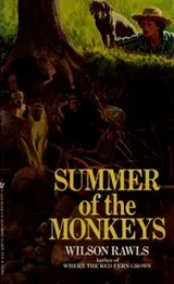 Cover of Summer of the Monkeys