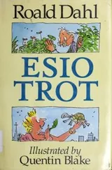 Cover of Esio Trot