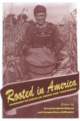 Cover of Rooted in America