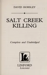 Cover of Salt Creek Killing (Linford Western)