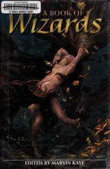 Cover of A book of wizards