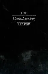 Cover of The Doris Lessing reader